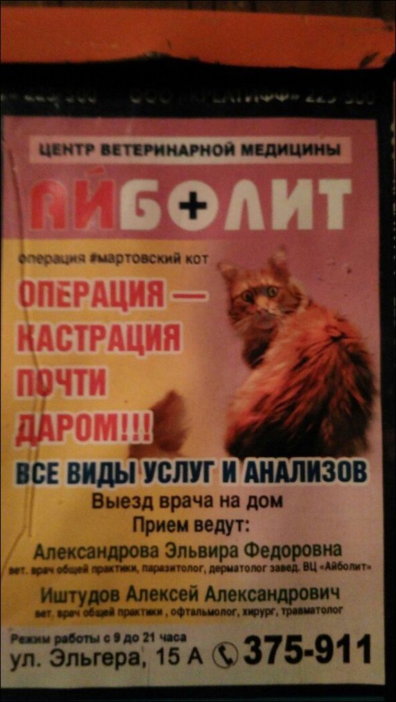 фото приколы