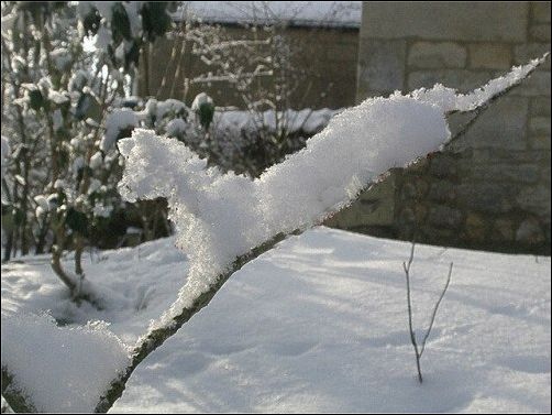 фото приколы