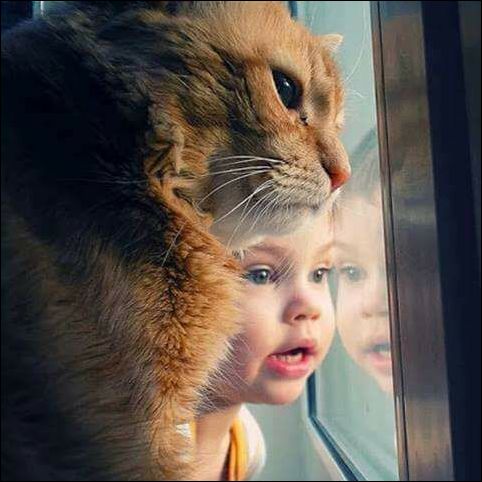 фото приколы