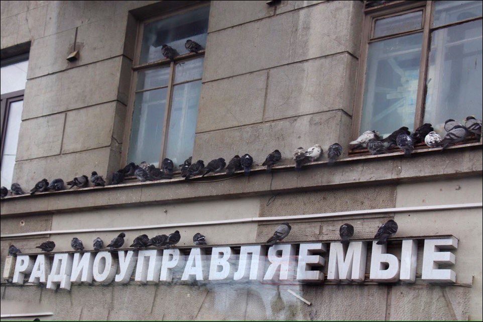 фото приколы