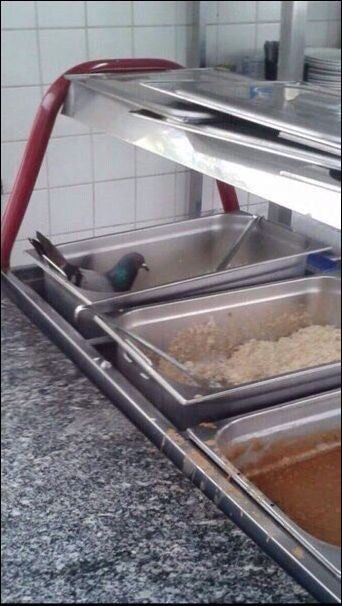 фото приколы