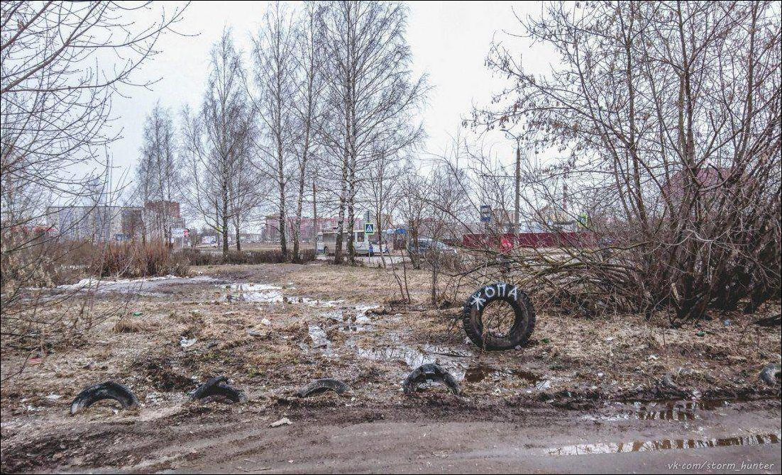 фото приколы