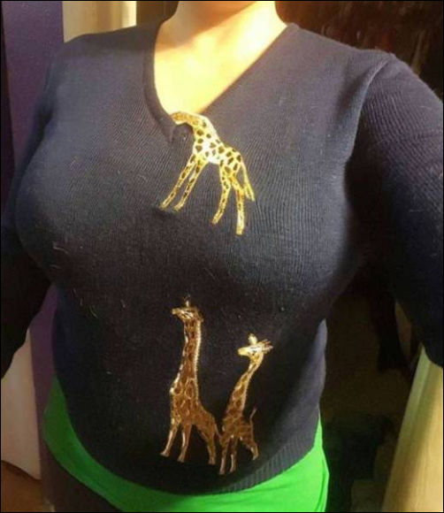 фото приколы