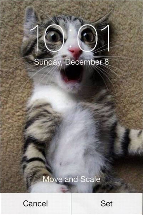 фото приколы