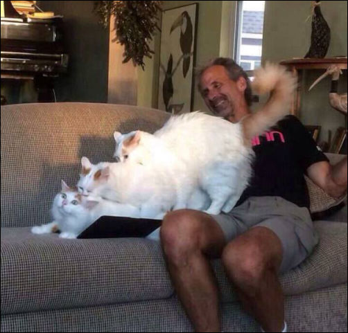 фото приколы