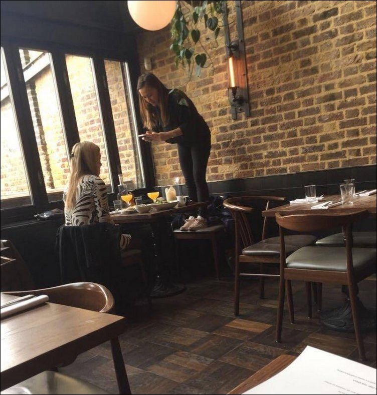 фото приколы