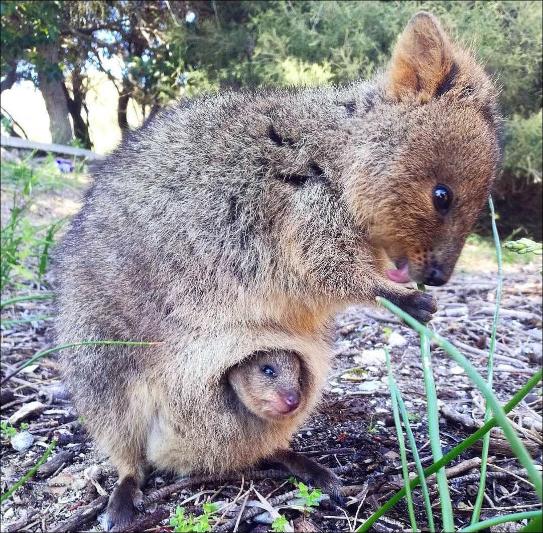 фото приколы