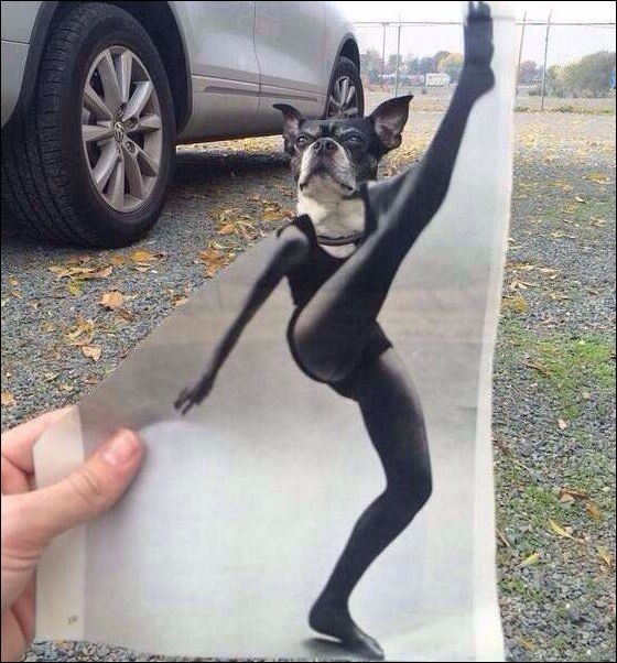 фото приколы