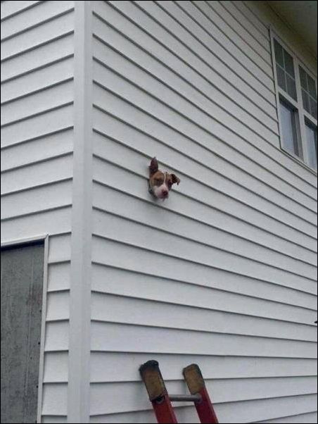 фото приколы