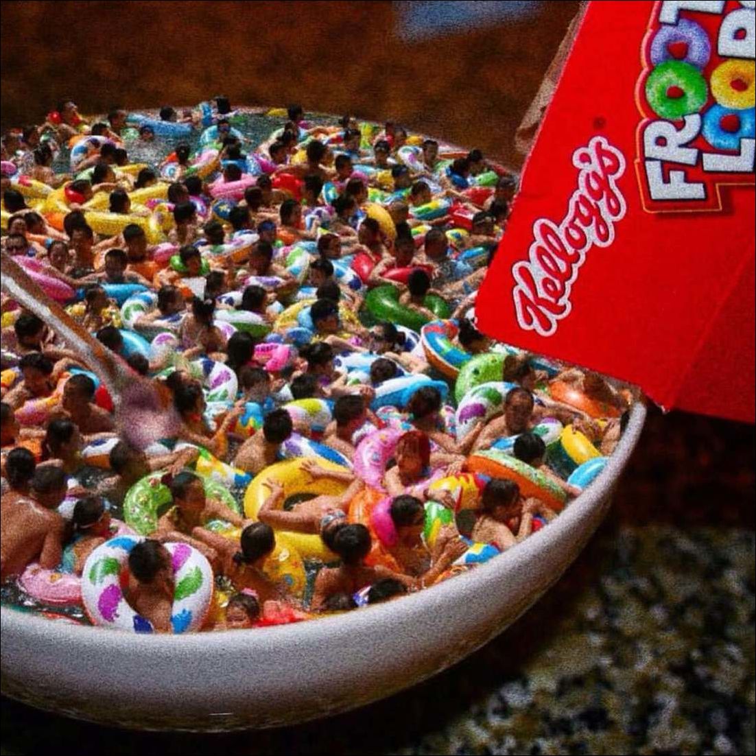 фото приколы