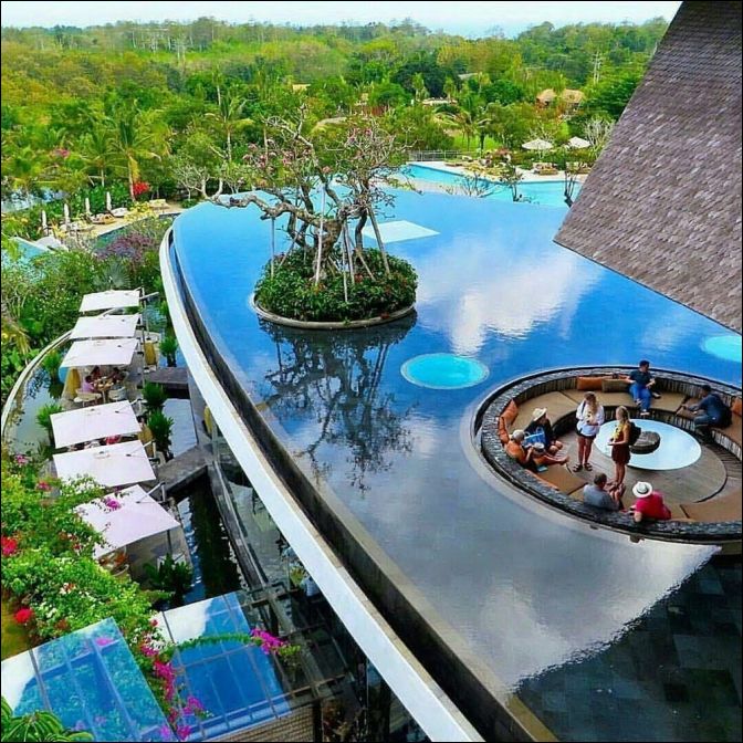 фото приколы