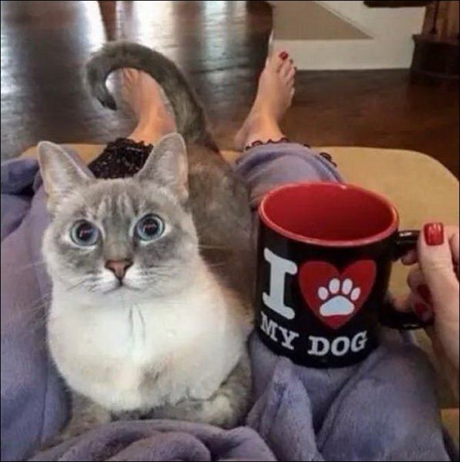 фото приколы