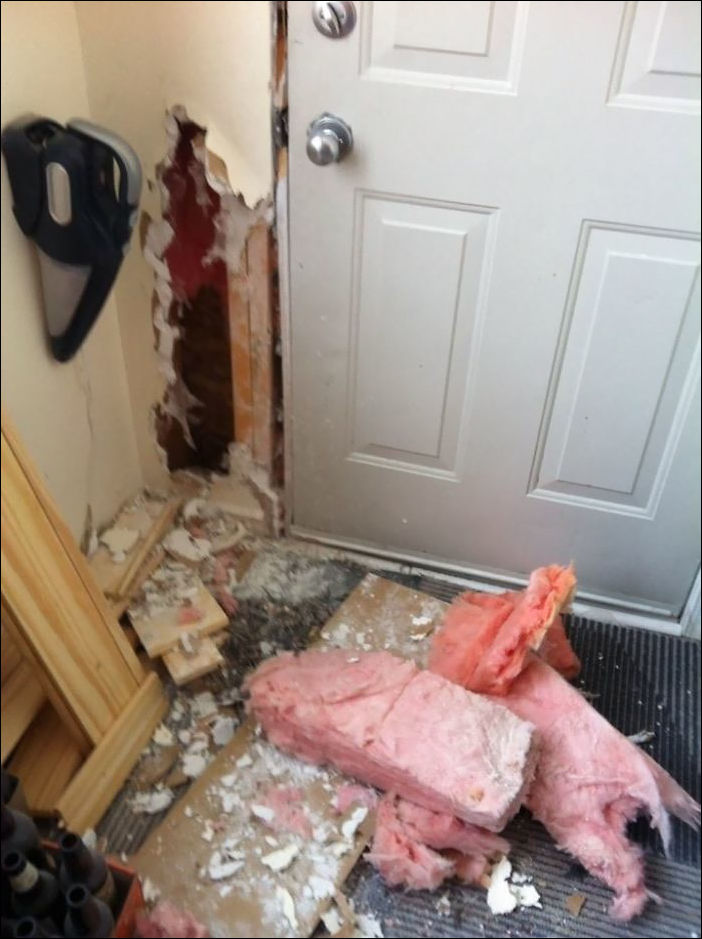 животные одни дома