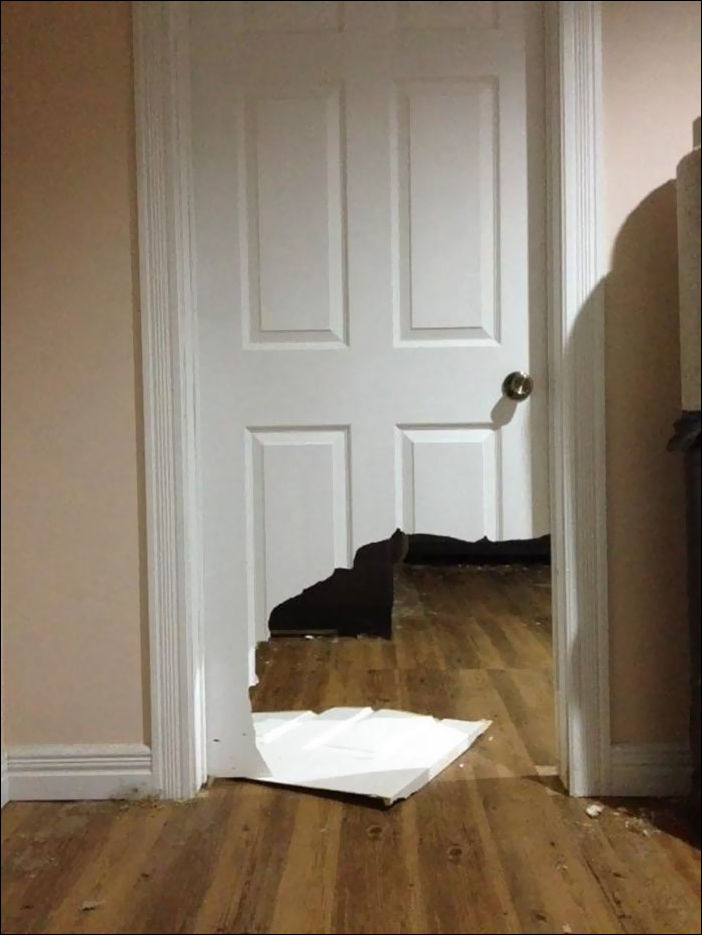 животные одни дома