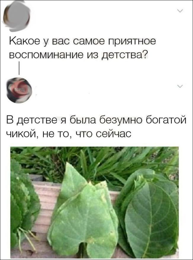 смешные комментарии