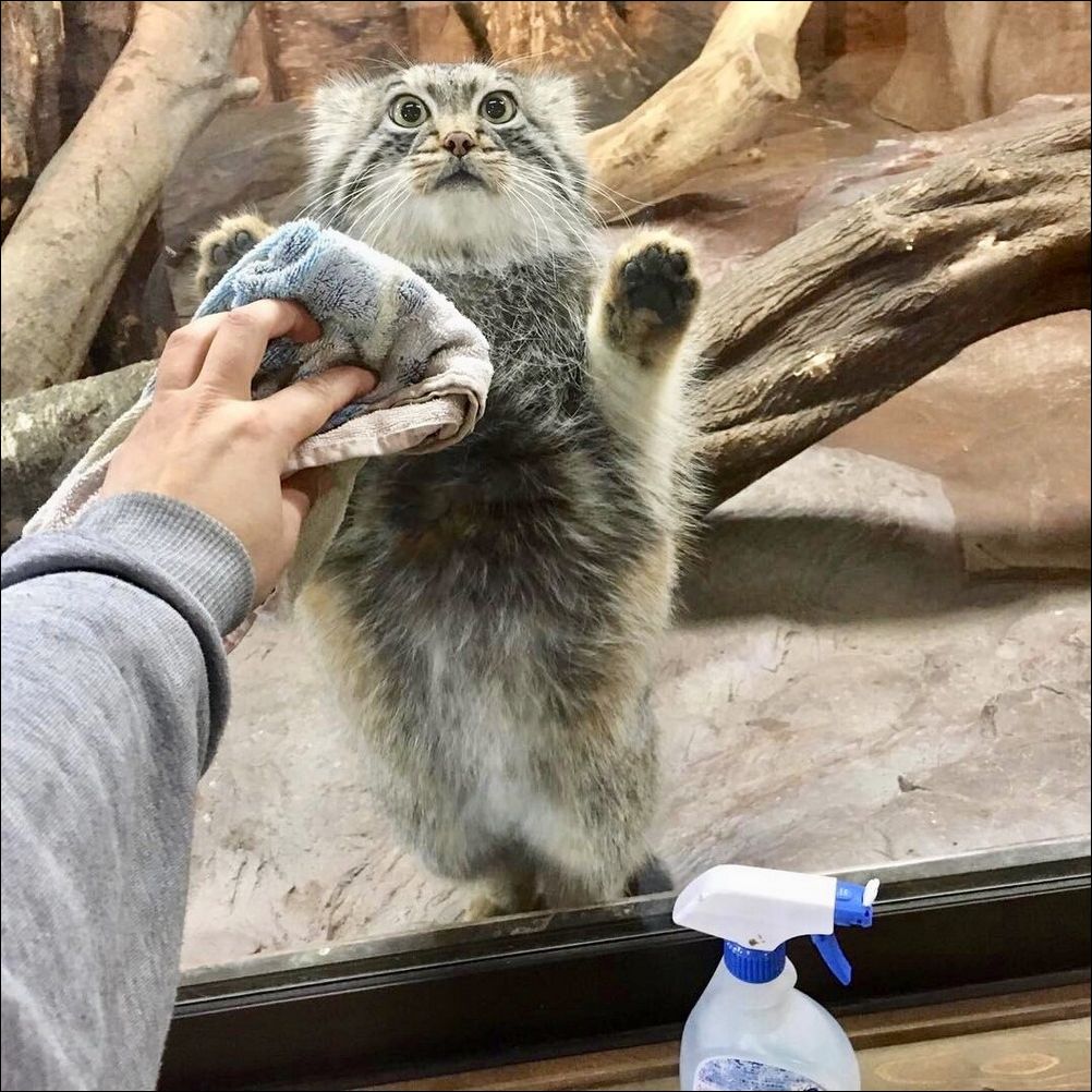 фото приколы