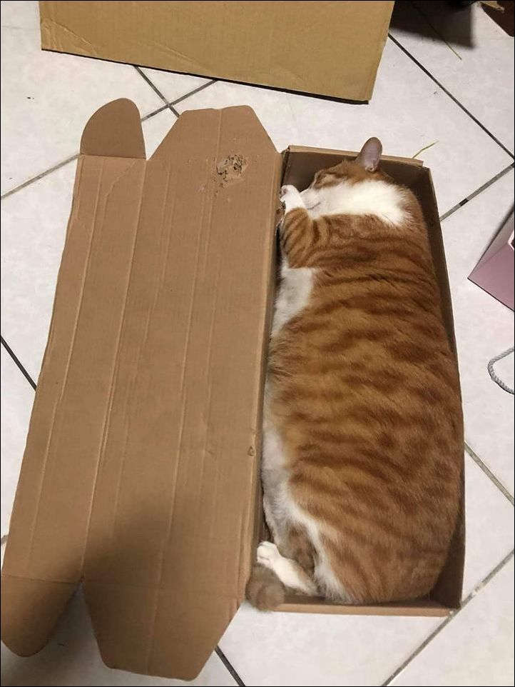 фото приколы