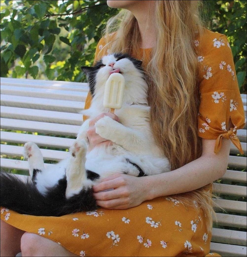 фото приколы