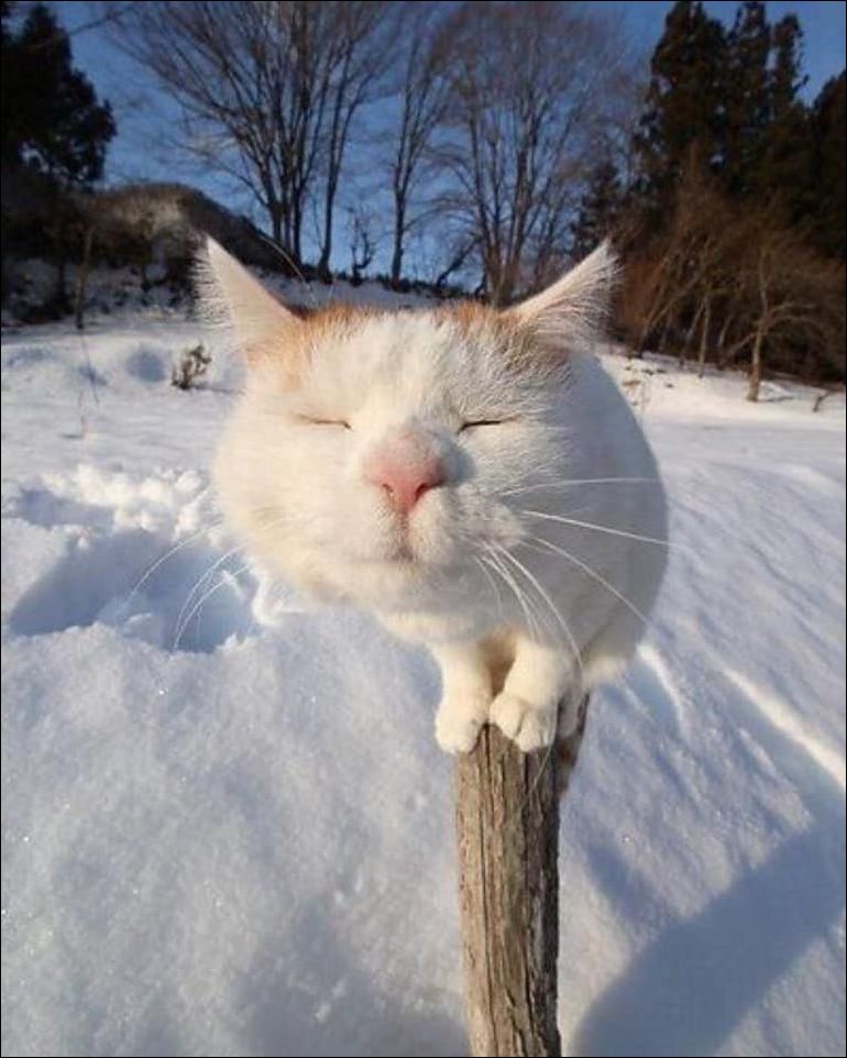 фото приколы