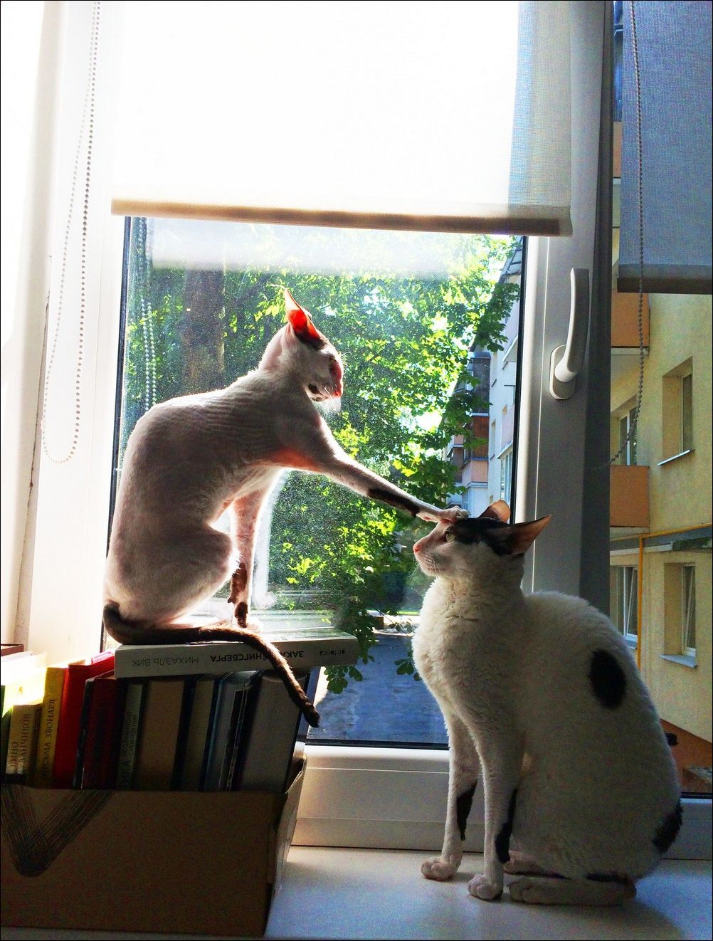 фото приколы