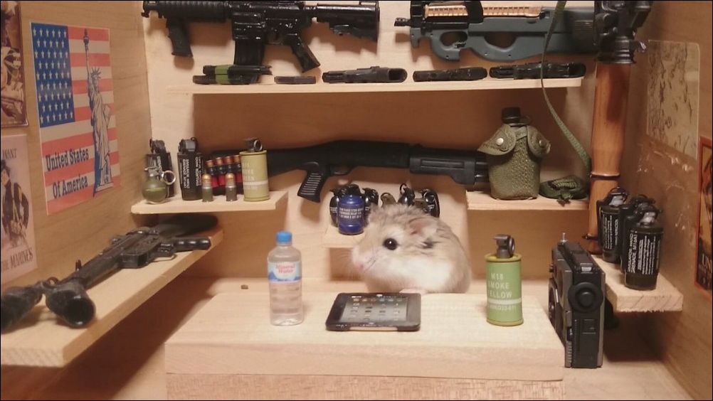 фото приколы