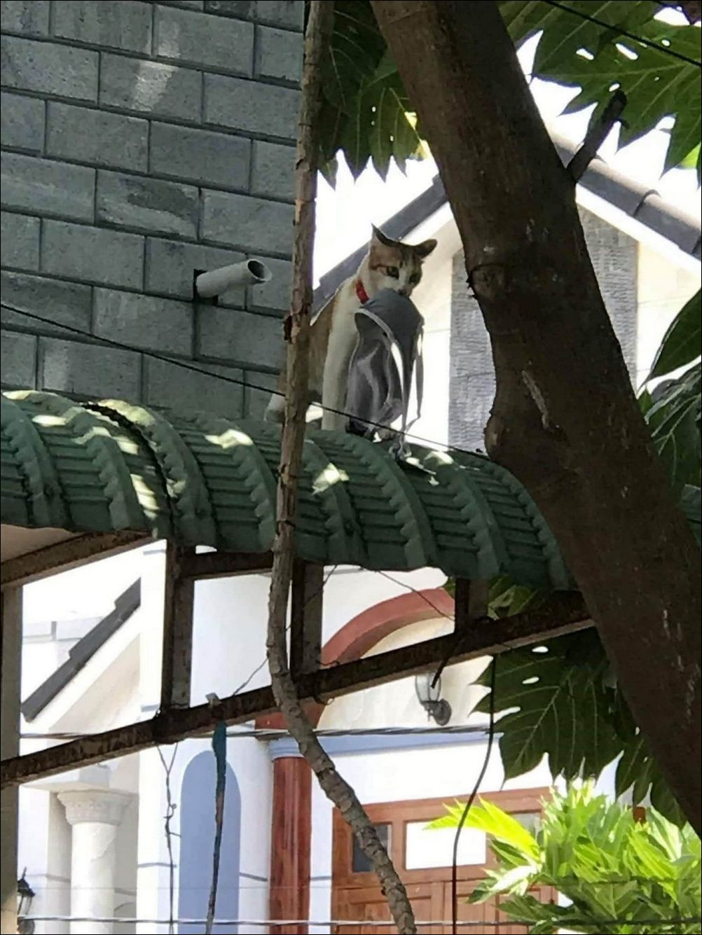 фото приколы