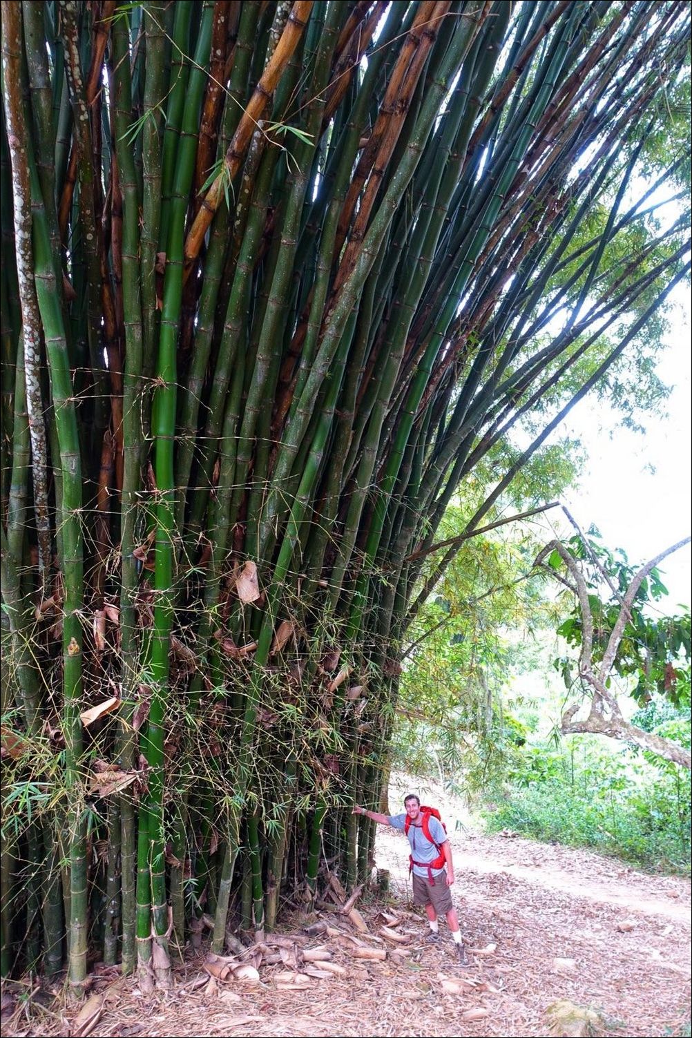 фото приколы