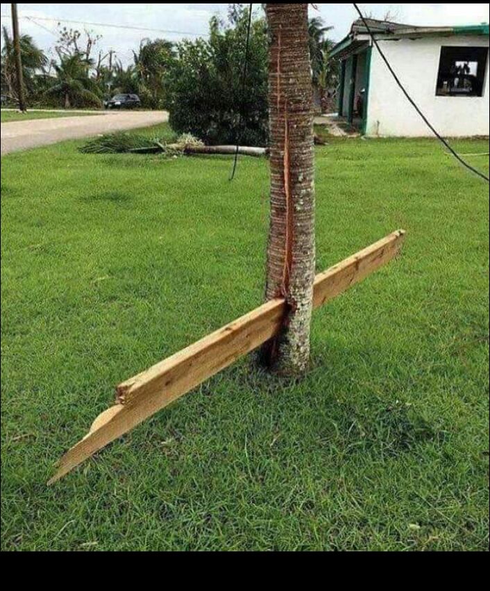 фото приколы