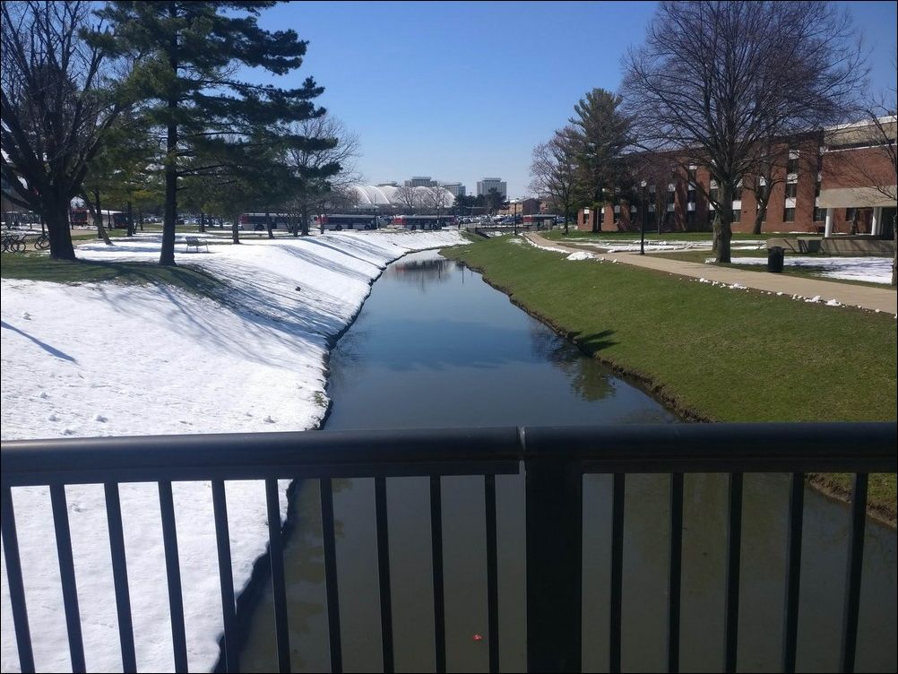 фото приколы