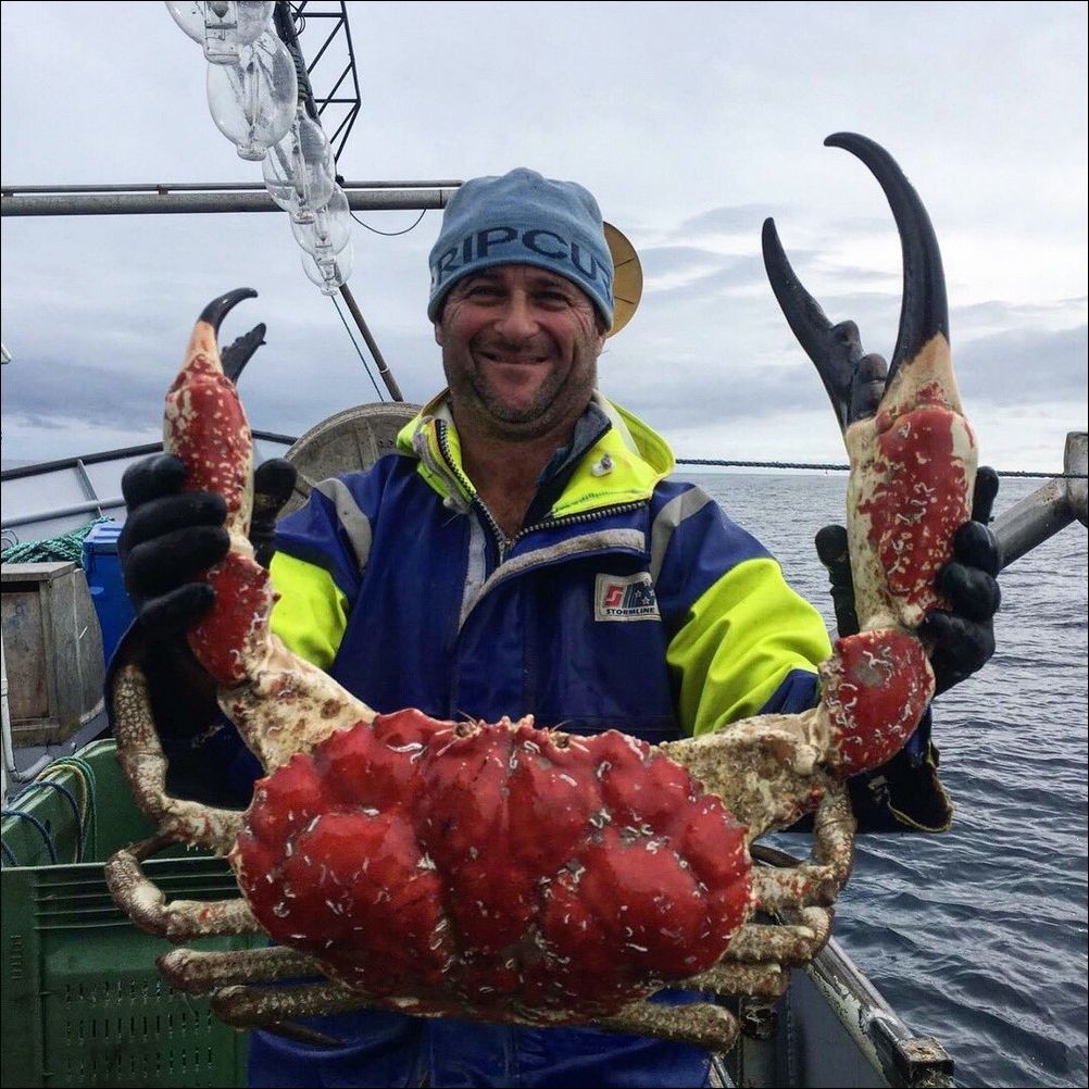 фото приколы