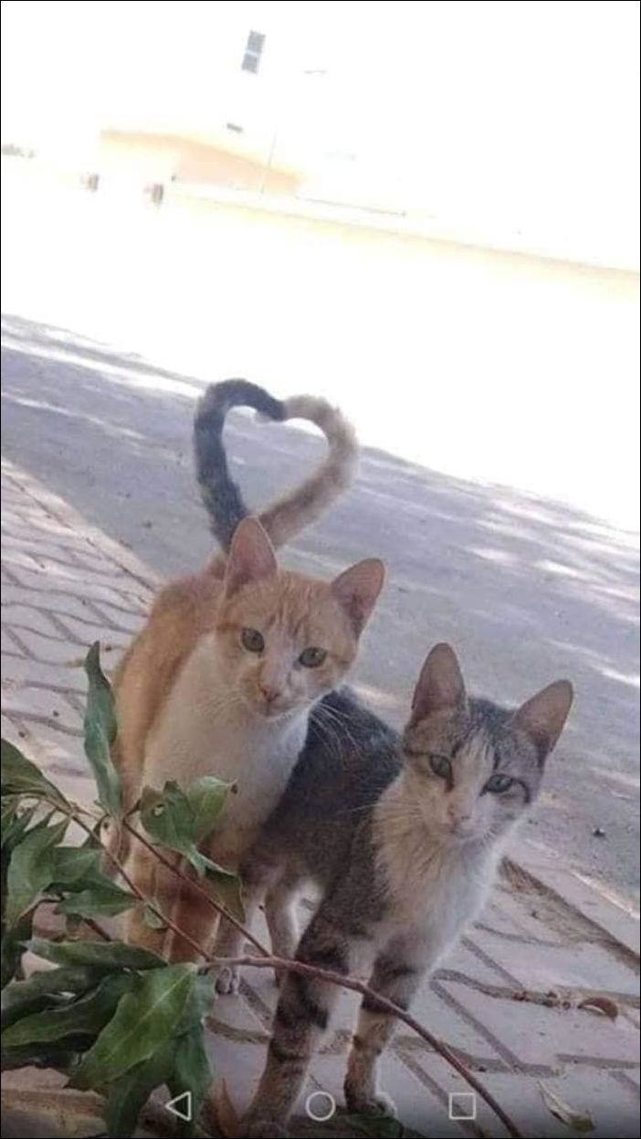 фото приколы