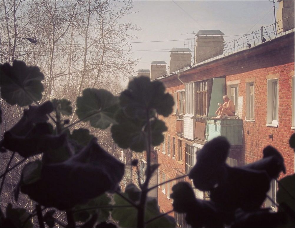 фото приколы