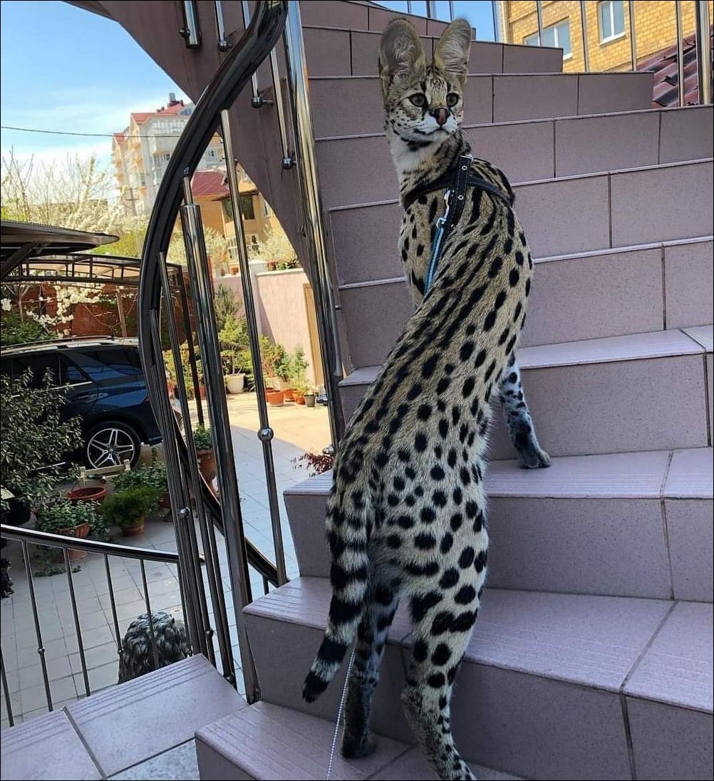 фото приколы