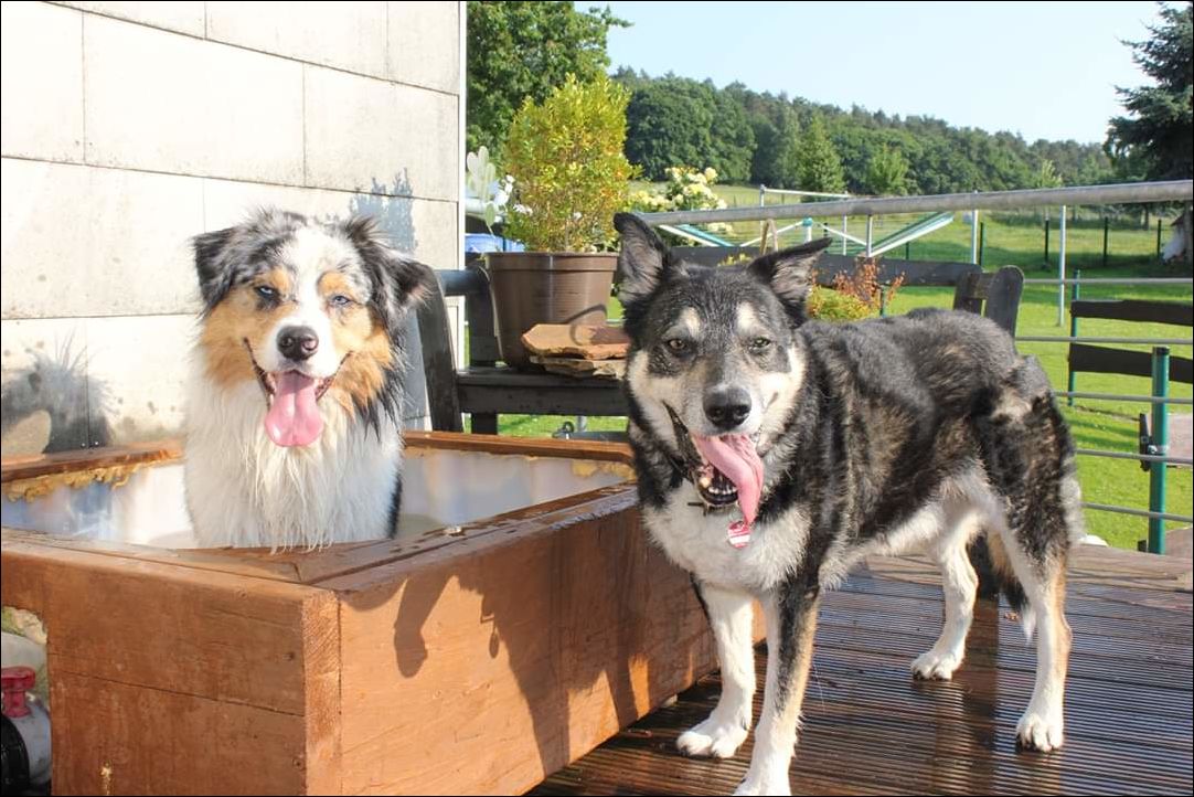 фото приколы