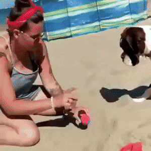 Прикольные гифки