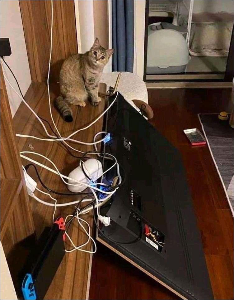 фото приколы