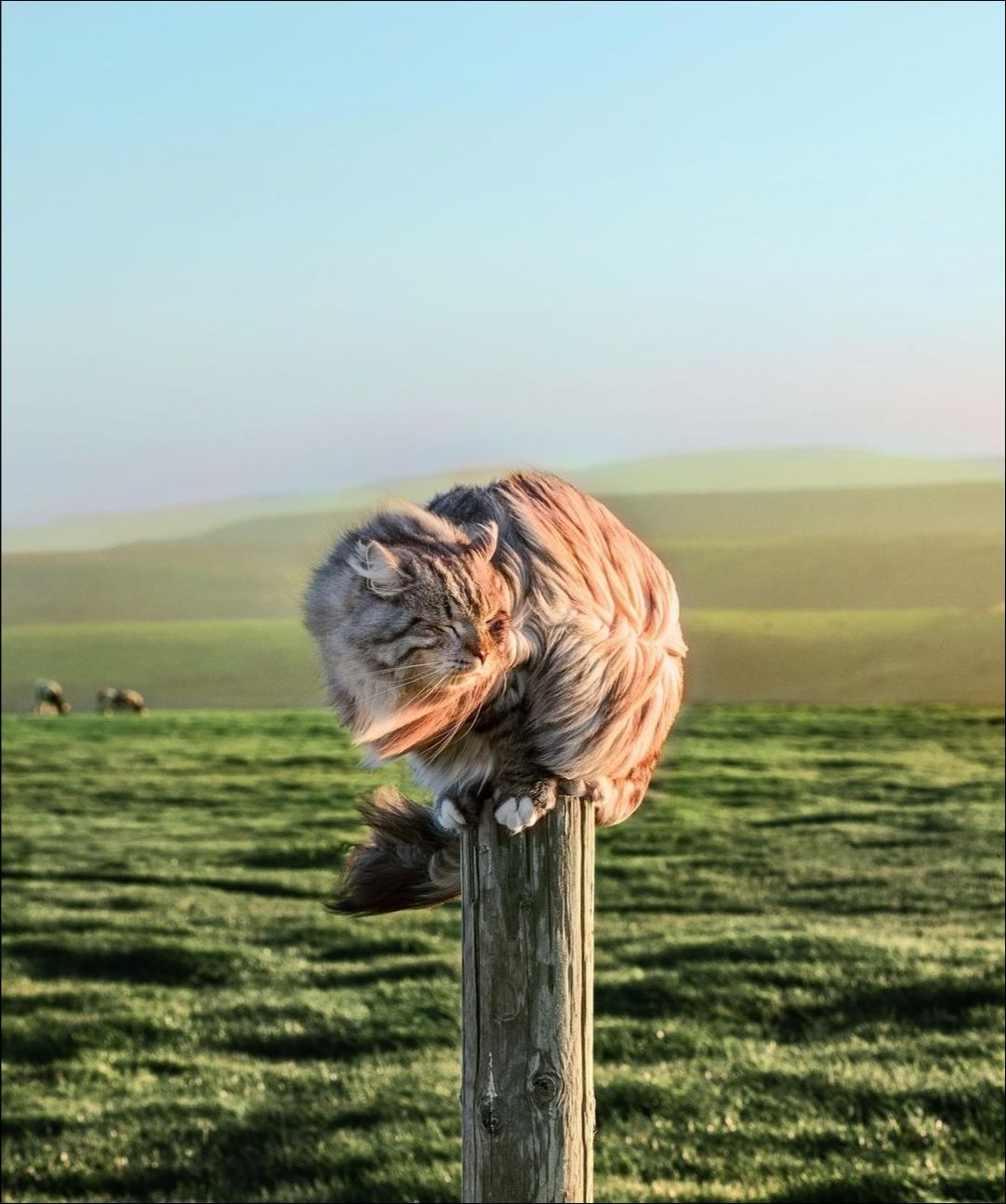 фото приколы