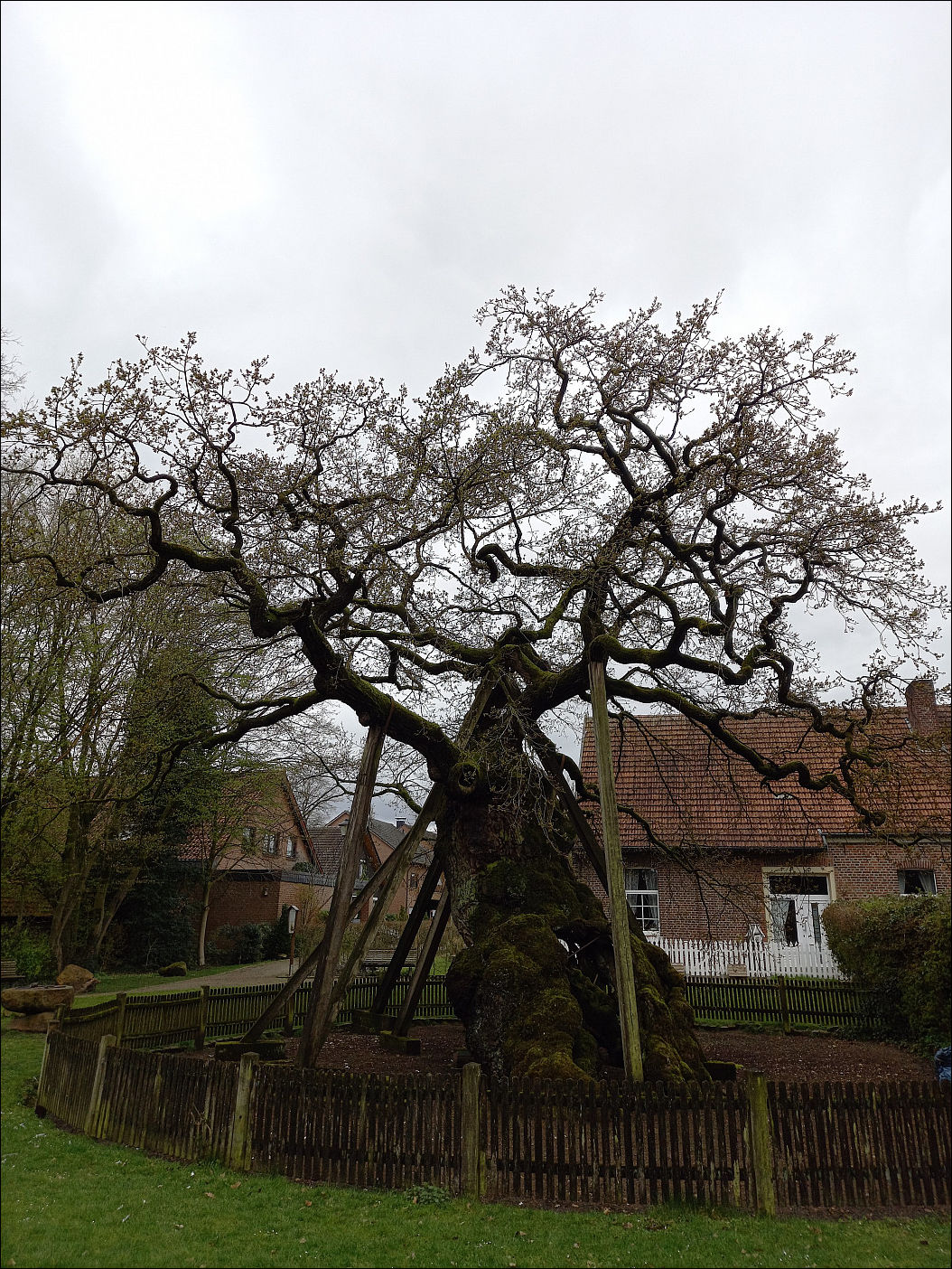 фото приколы