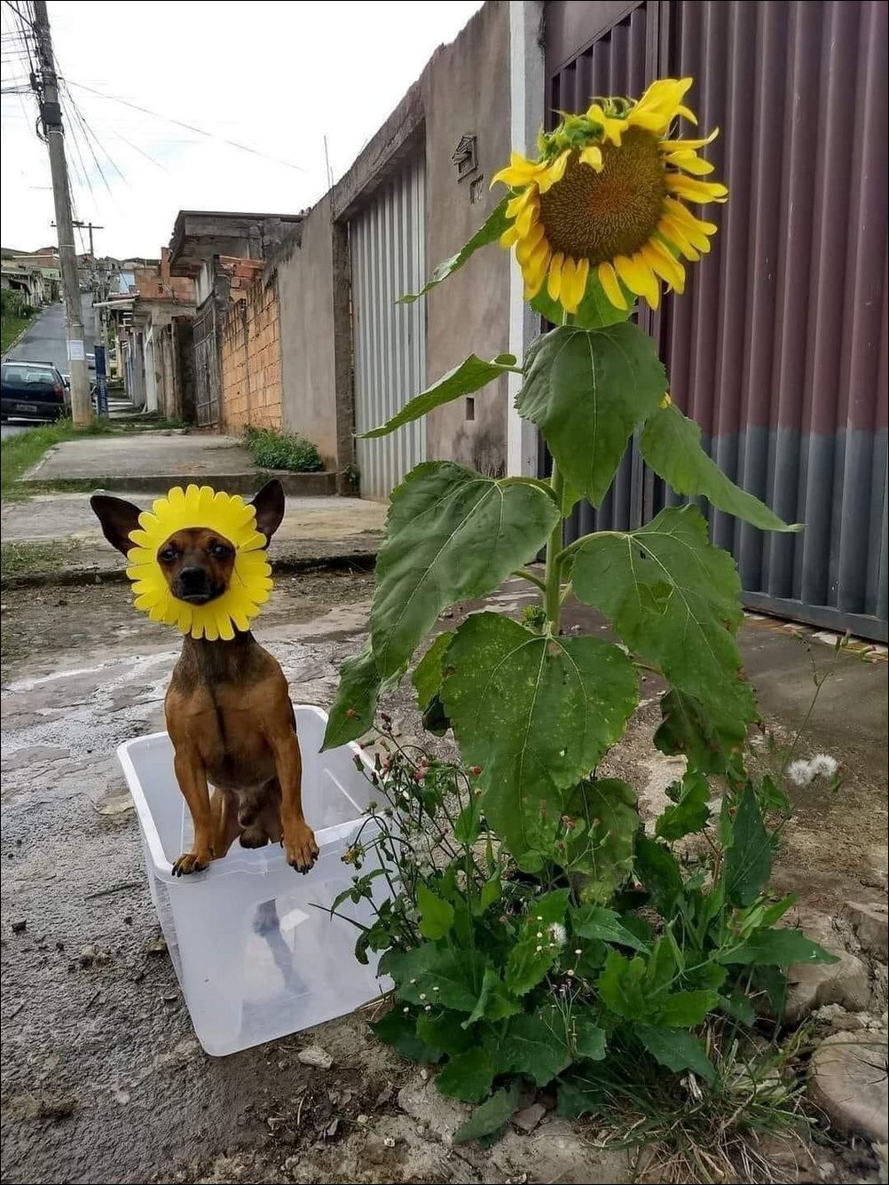 фото приколы