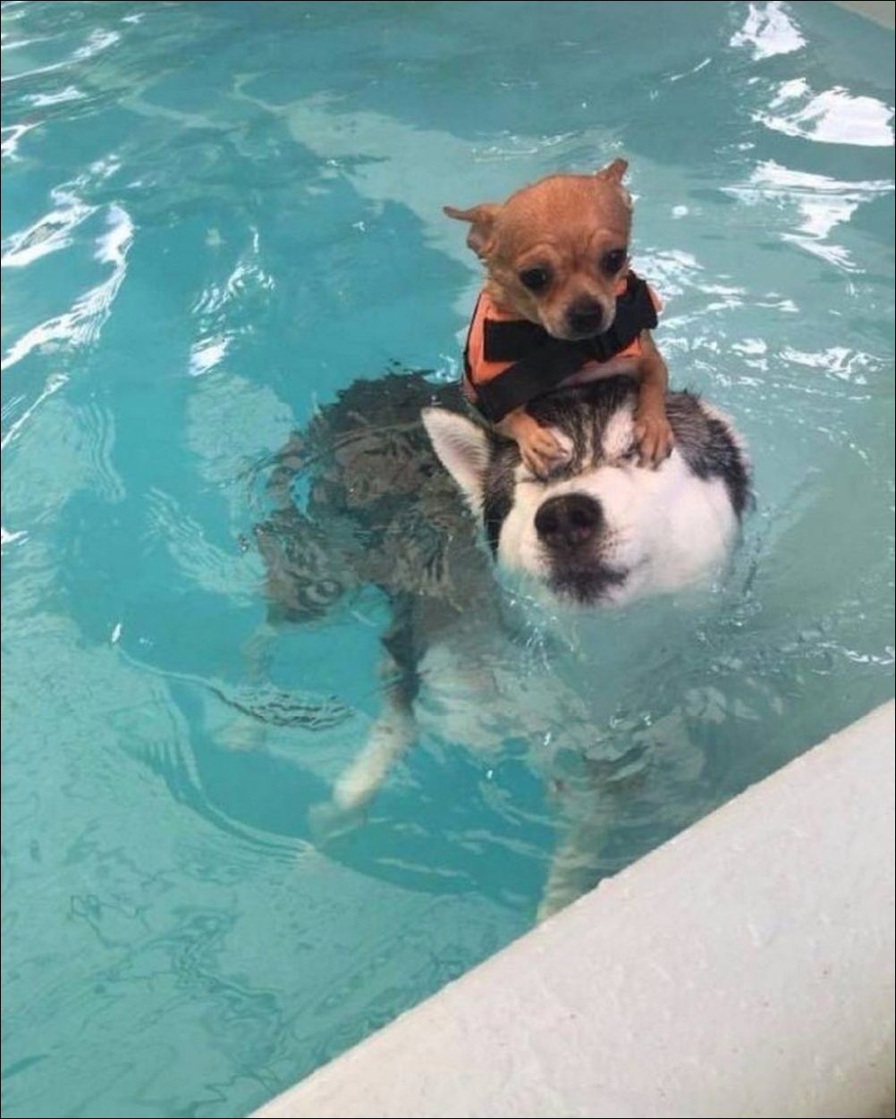 фото приколы