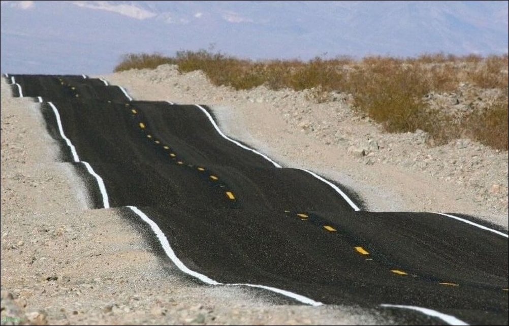 фото приколы