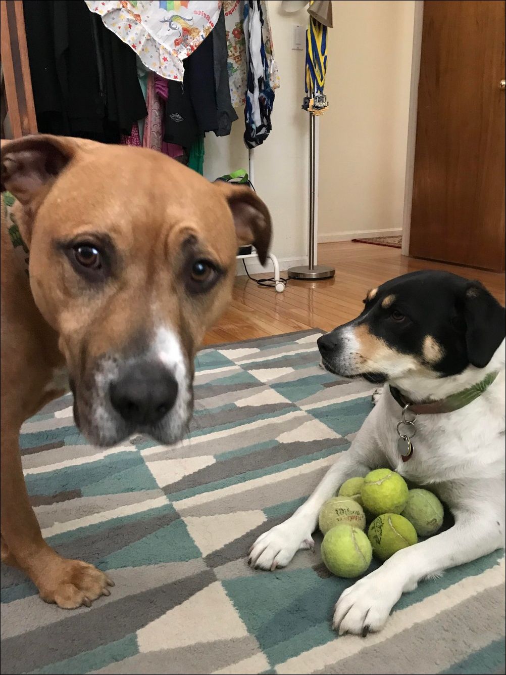 фото приколы