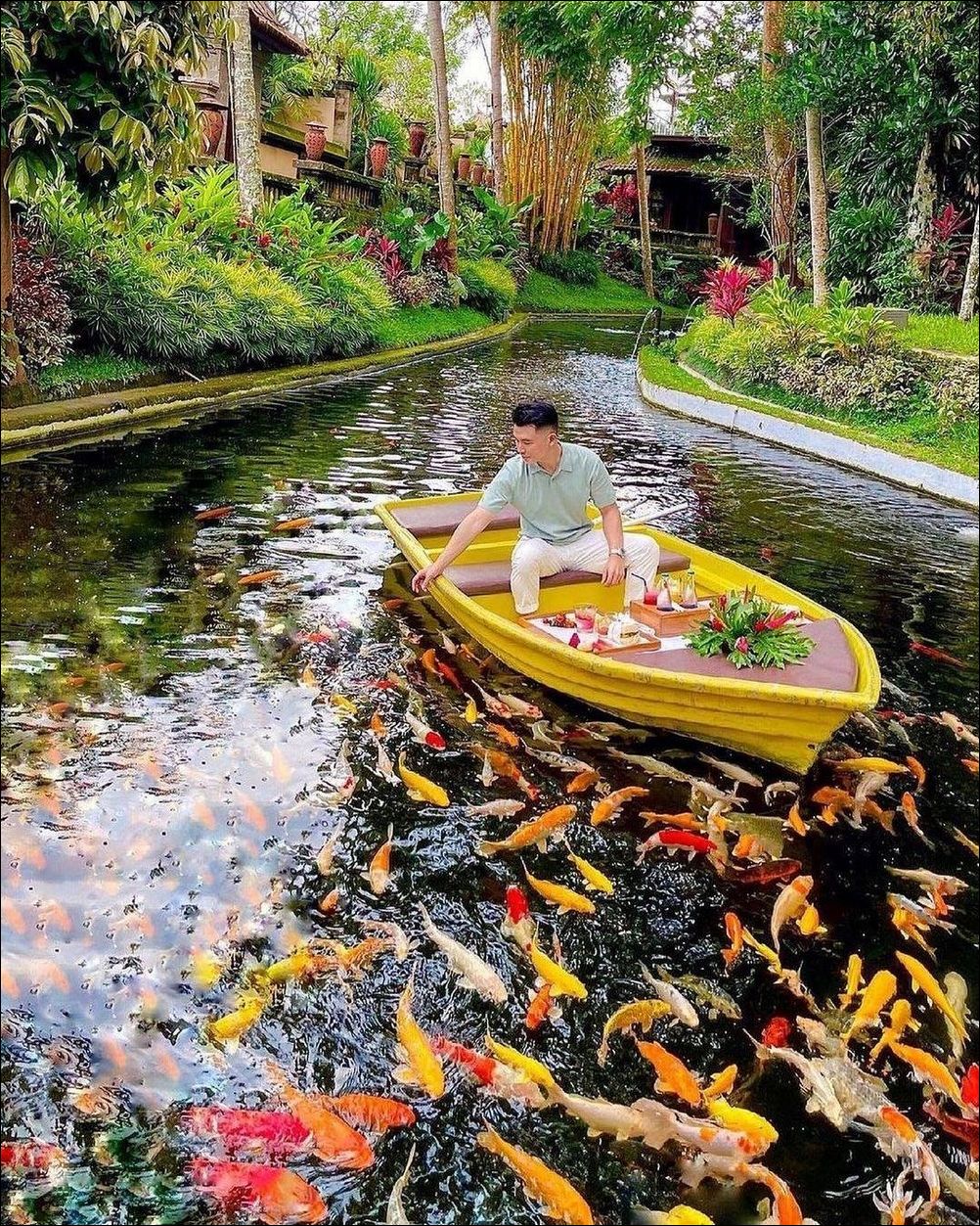 фото приколы