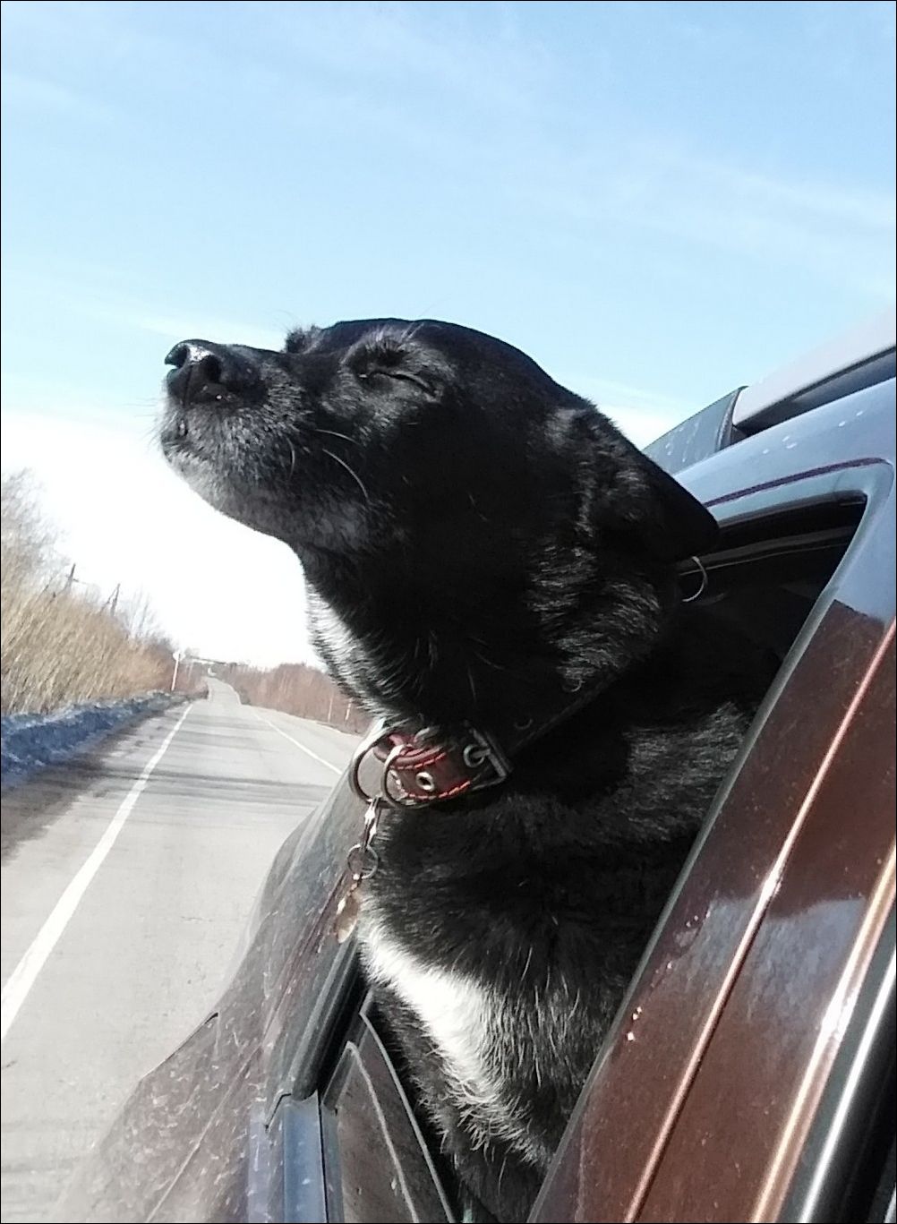 фото приколы