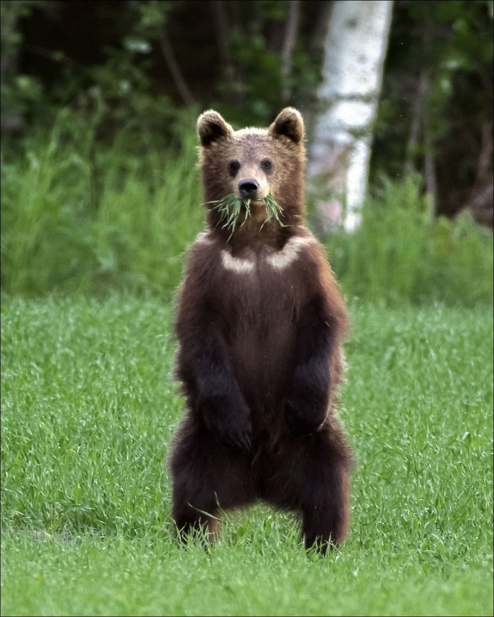 фото приколы