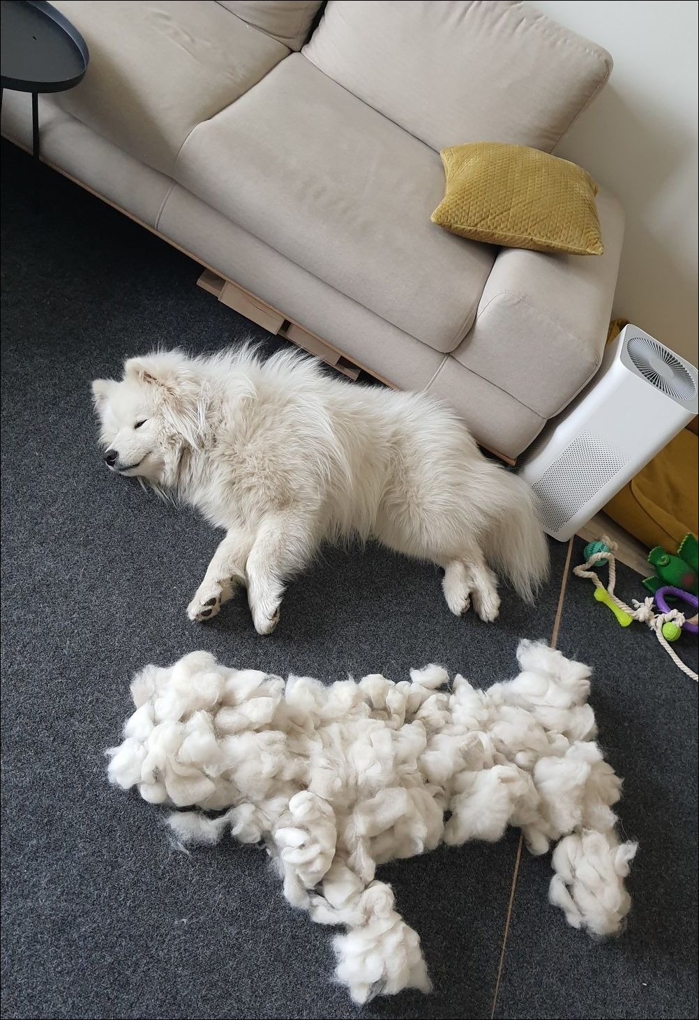 фото приколы