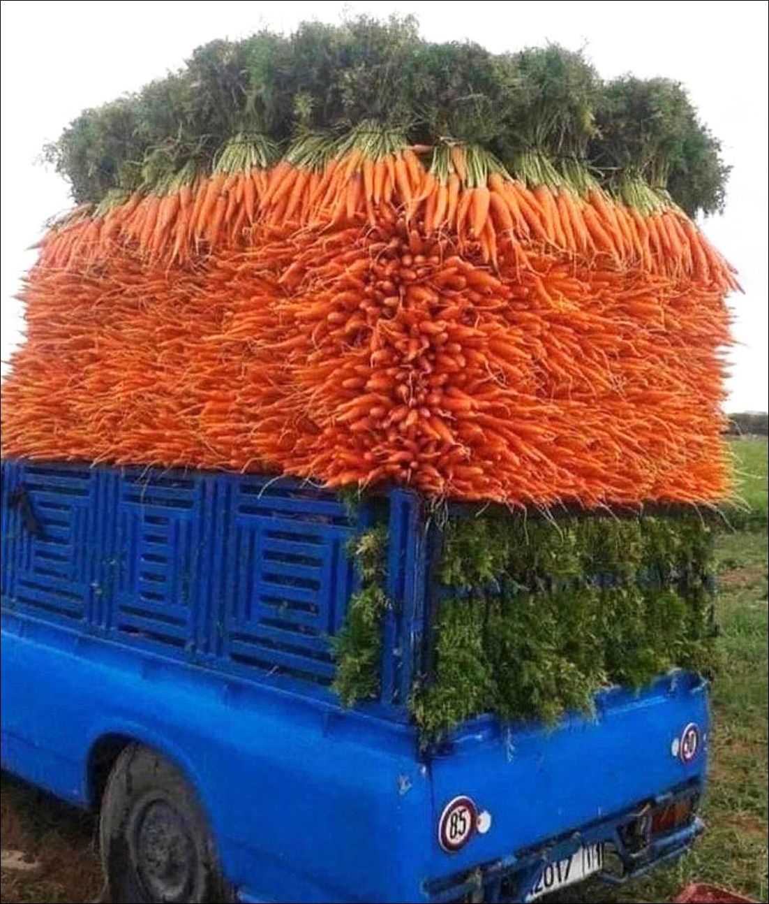 фото приколы