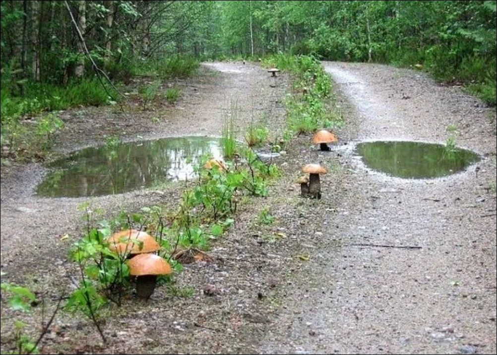 фото приколы