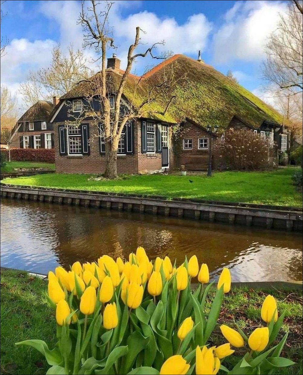 фото приколы