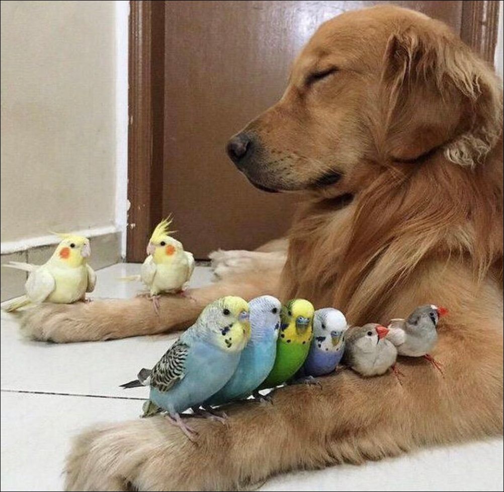 фото приколы